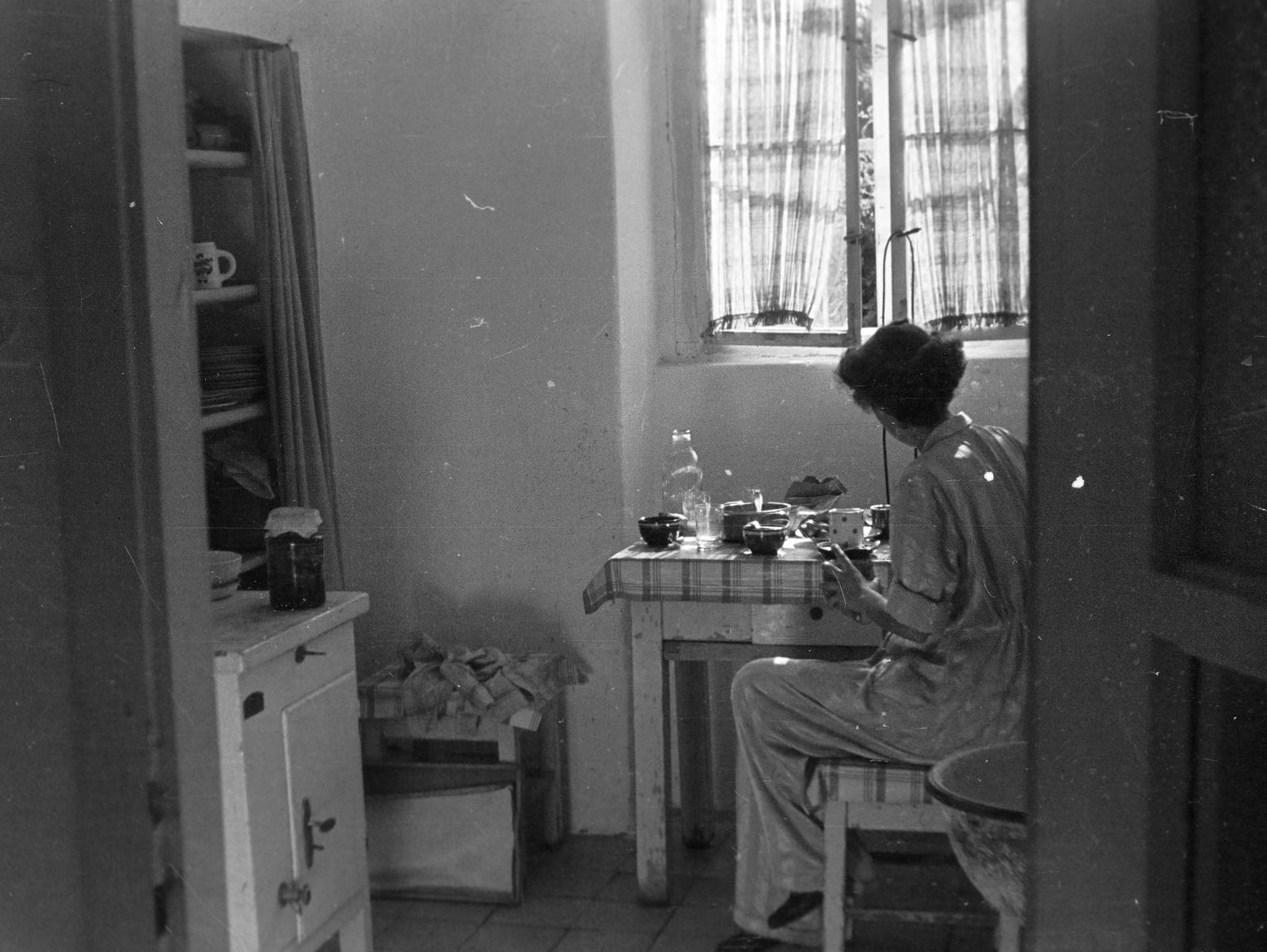 1950, Böhönyey Ágnes, Fortepan #309217