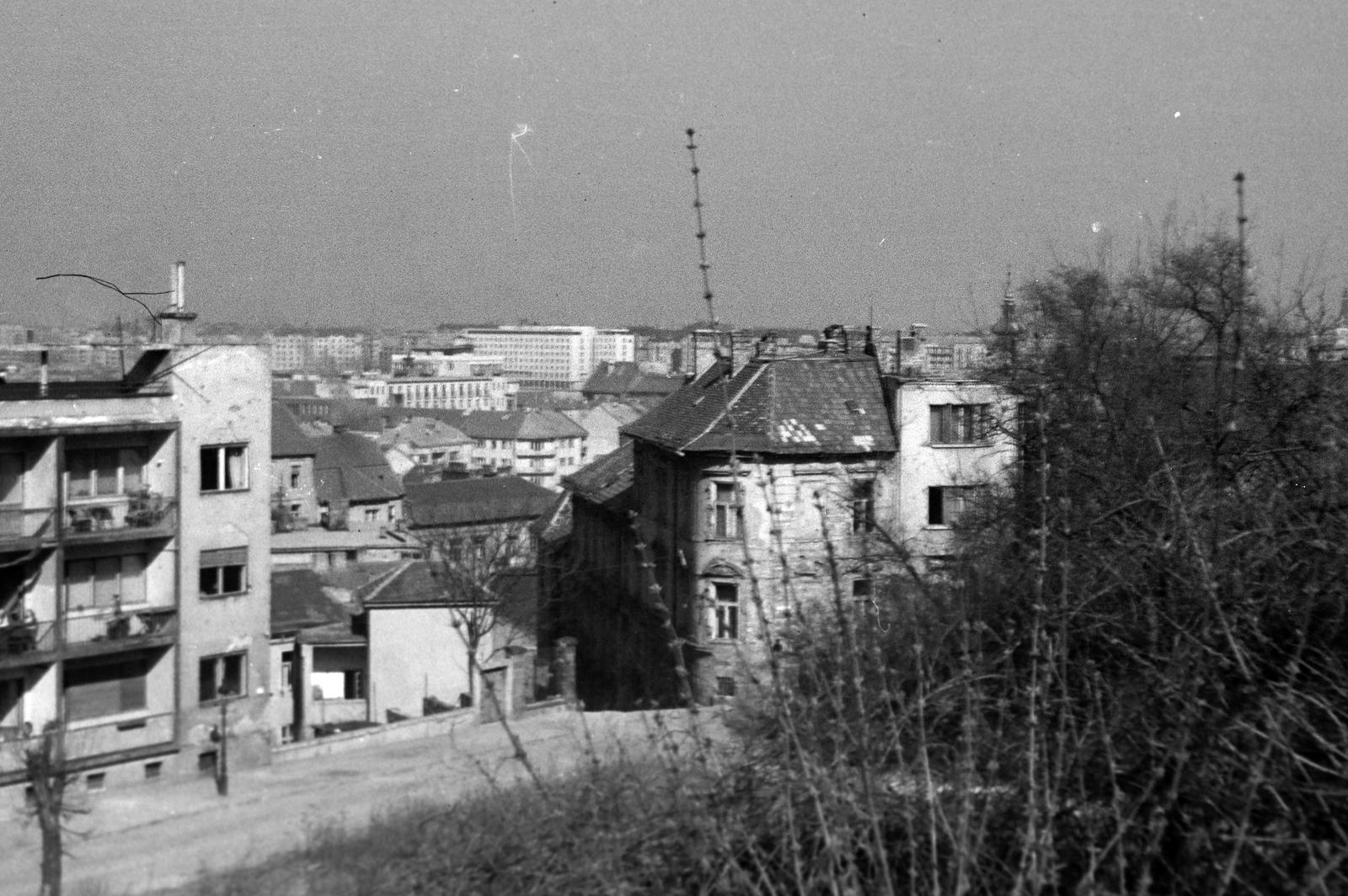 1950, Böhönyey Ágnes, Fortepan #309219