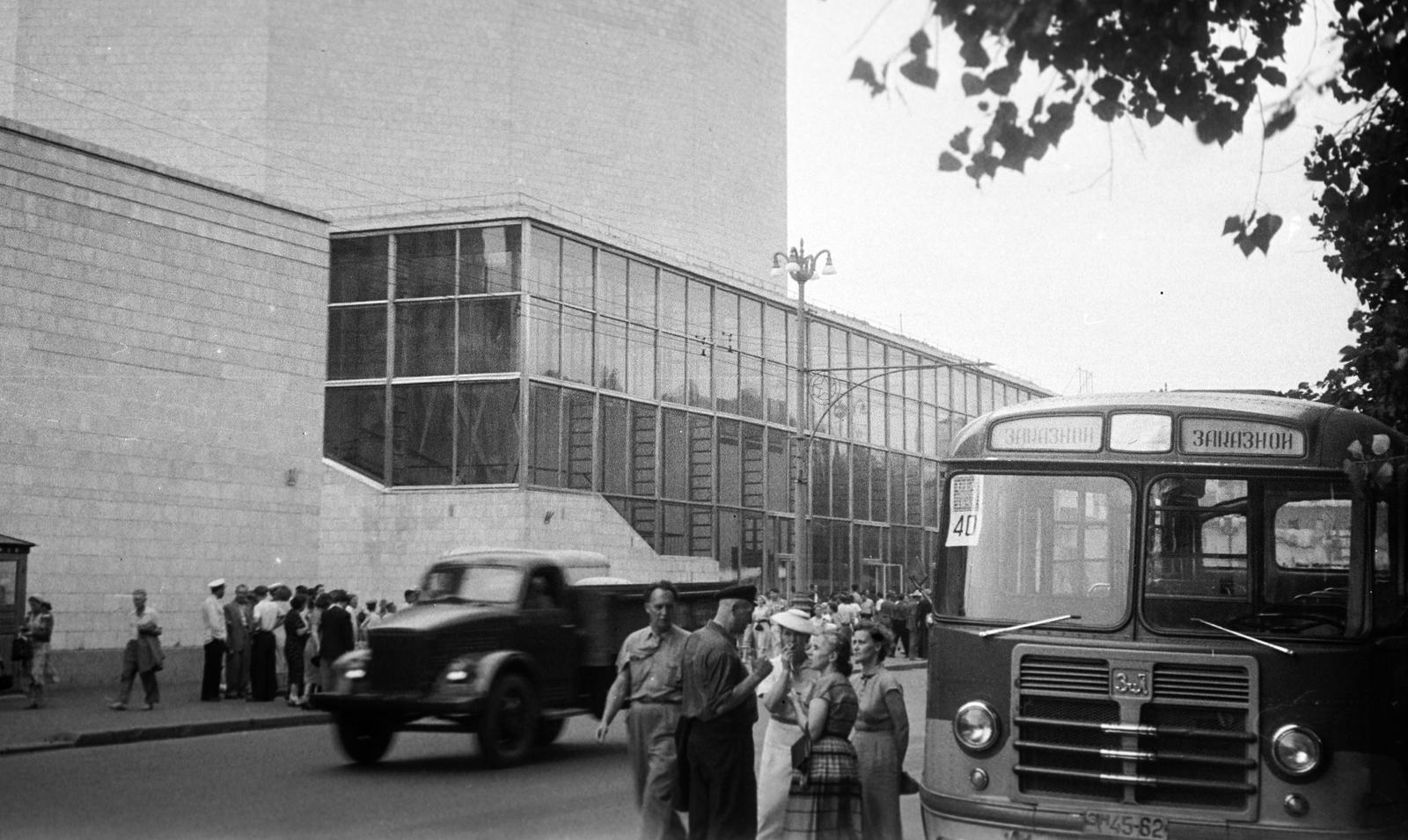 1955, Böhönyey Ágnes, Fortepan #309221