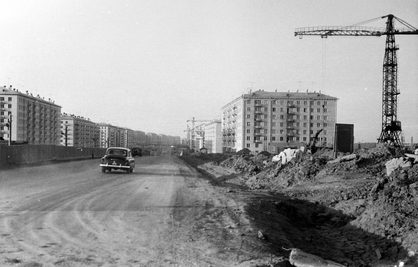 1955, Böhönyey Ágnes, Fortepan #309224