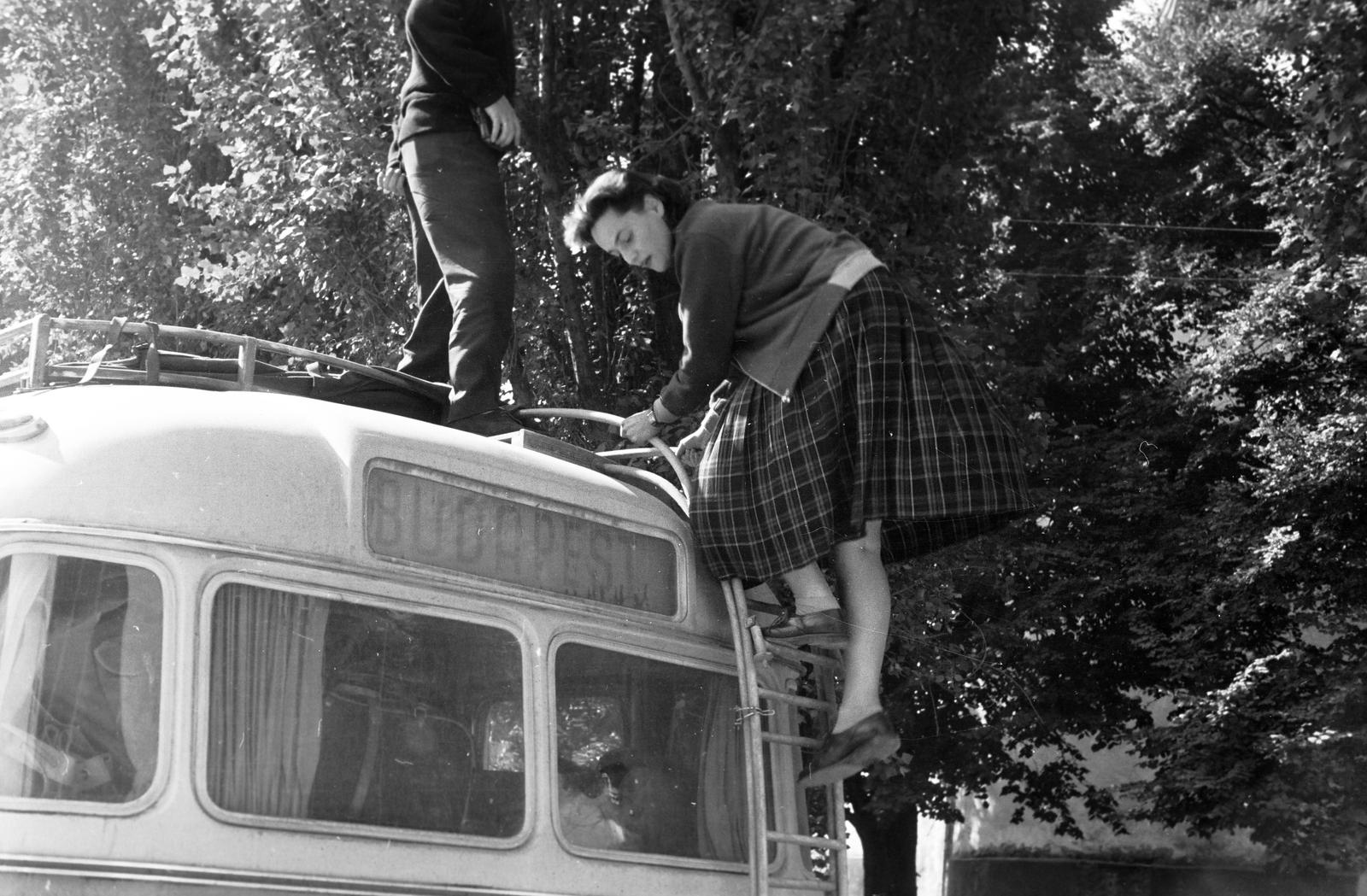 1962, Böhönyey Ágnes, Fortepan #309231