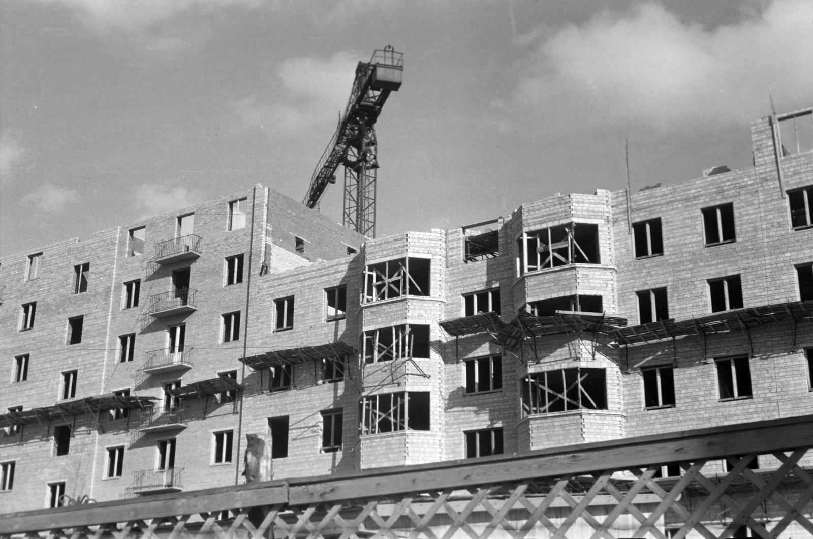 1955, Böhönyey Ágnes, Fortepan #309236