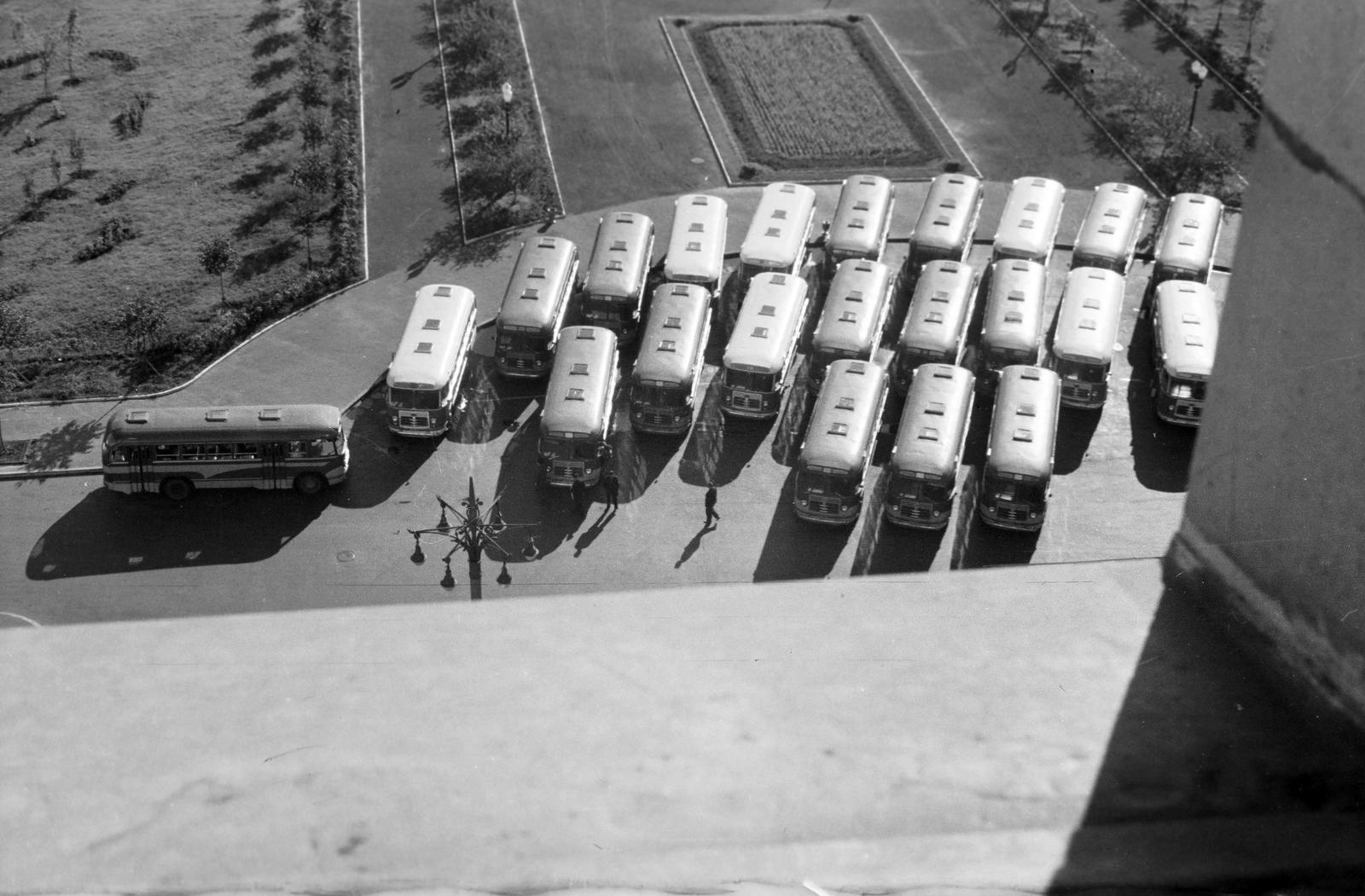 1960, Böhönyey Ágnes, Fortepan #309239