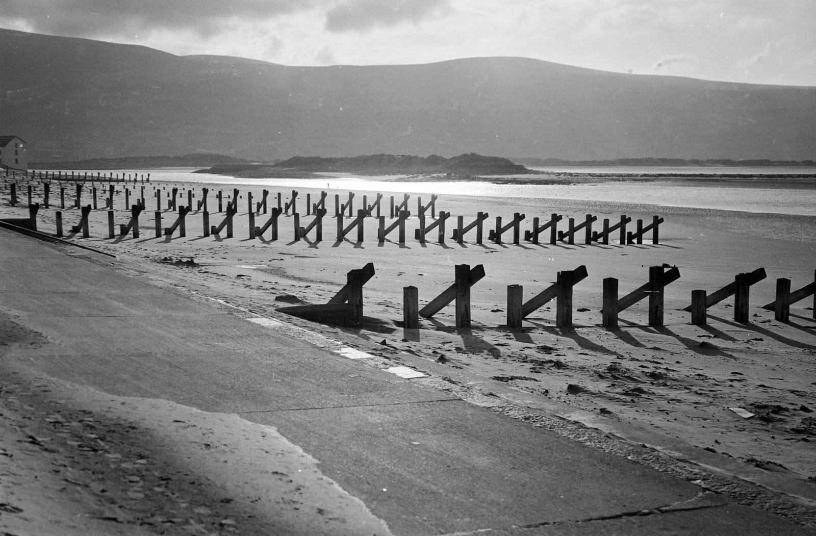 1966, Böhönyey Ágnes, Fortepan #309242