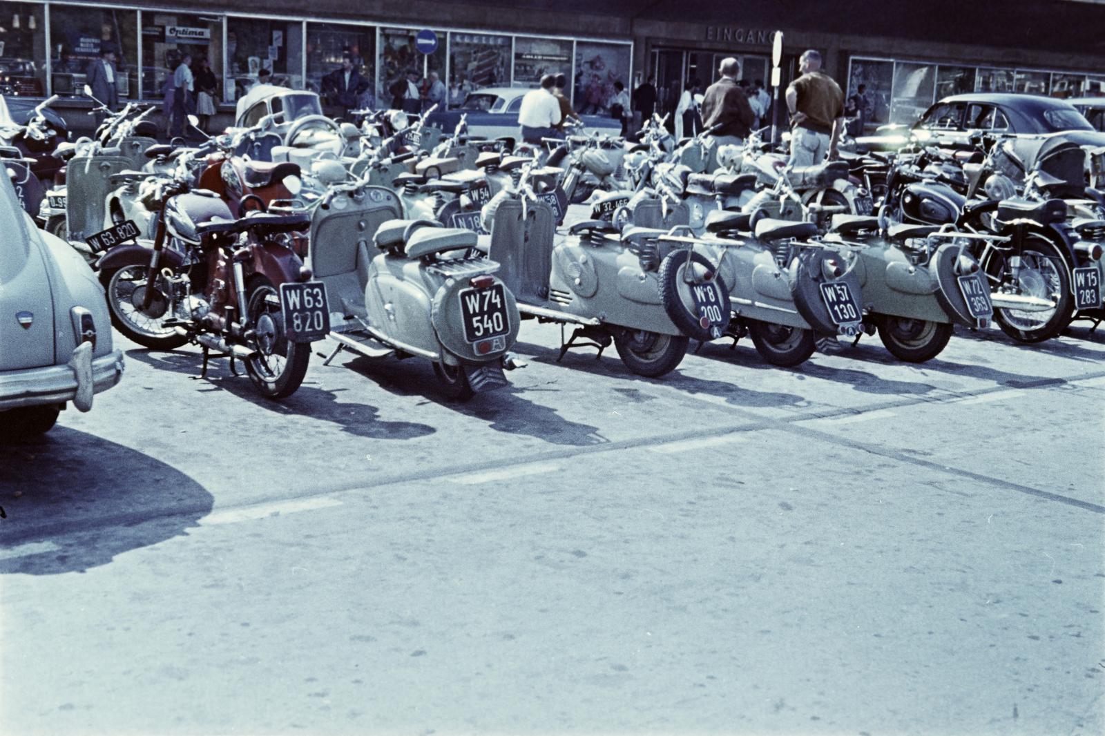 1961, Böhönyey Ágnes, Fortepan #309258