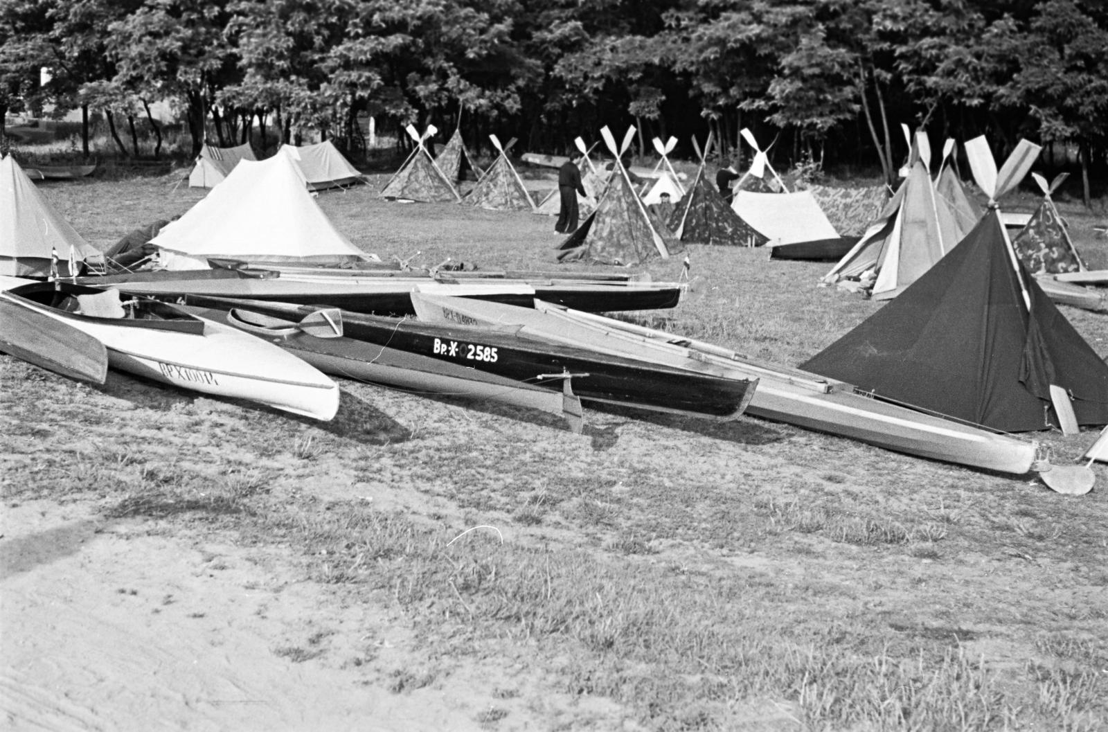 1960, Böhönyey Ágnes, Fortepan #309263