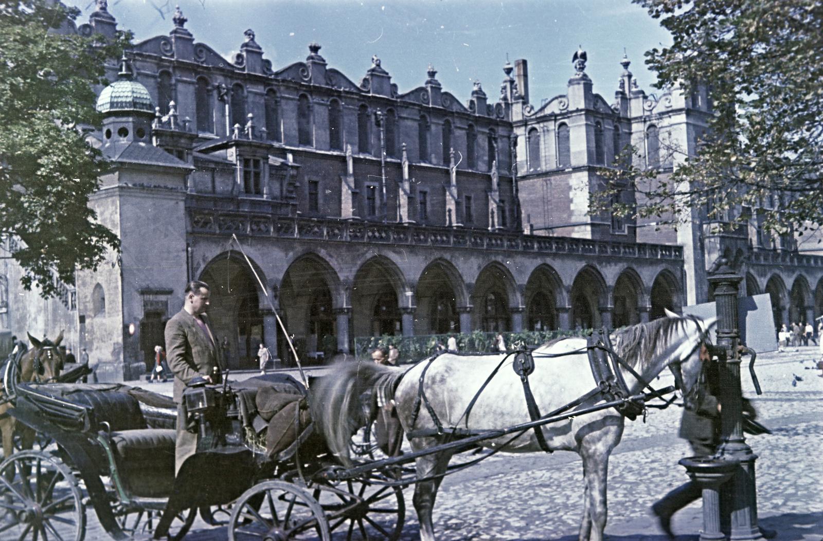 1958, Böhönyey Ágnes, Fortepan #309269