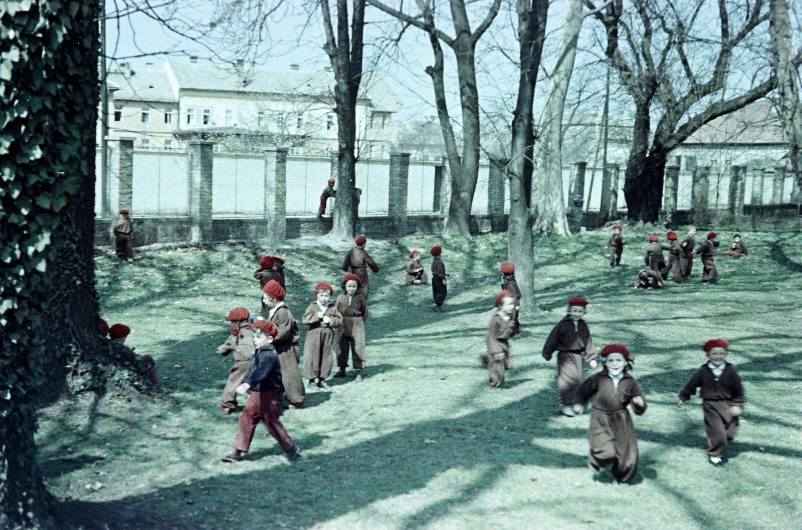 1955, Böhönyey Ágnes, Fortepan #309272