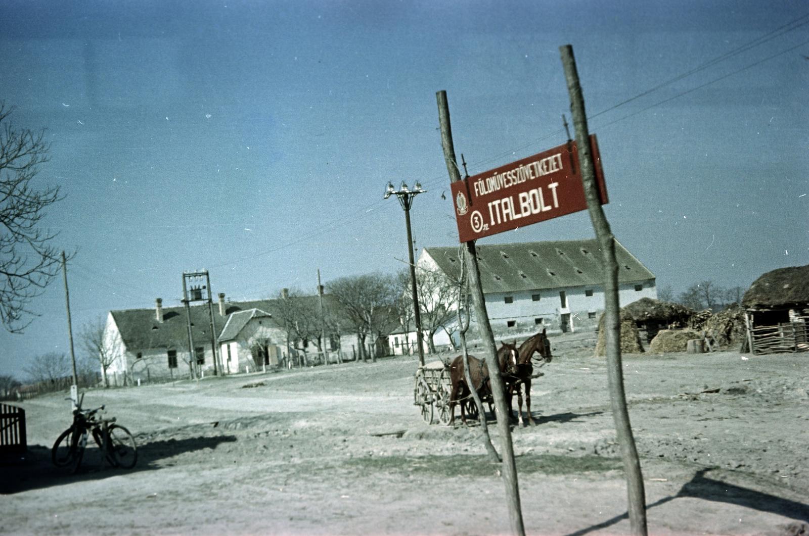 1955, Böhönyey Ágnes, Fortepan #309273