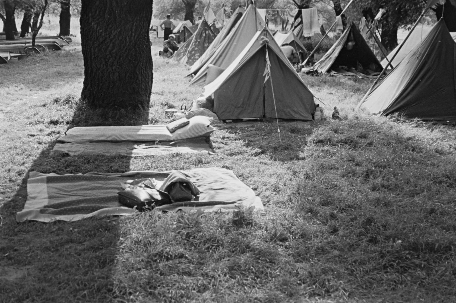 1960, Böhönyey Ágnes, Fortepan #309274