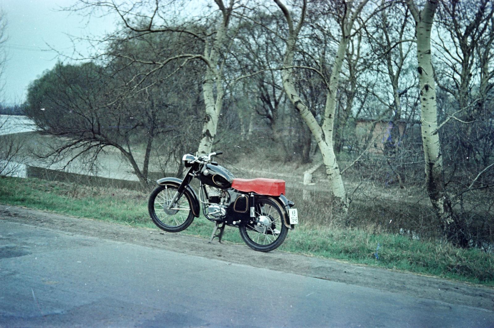 1955, Böhönyey Ágnes, Fortepan #309275