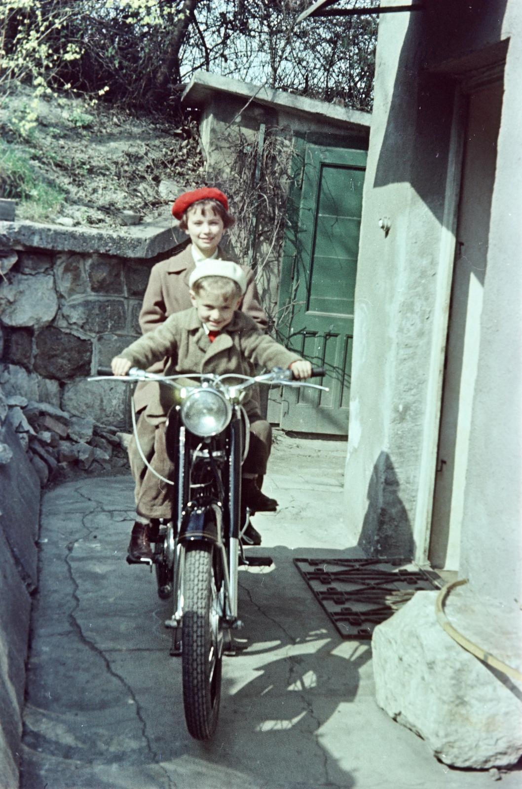 1955, Böhönyey Ágnes, Fortepan #309276