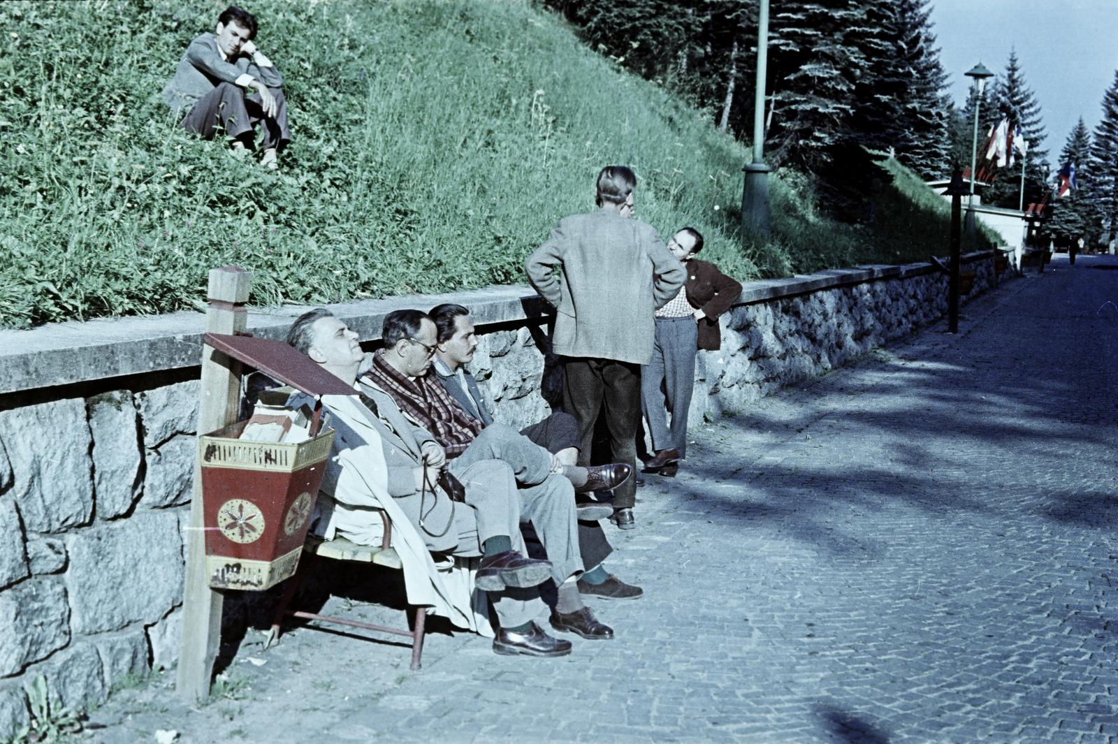 1954, Böhönyey Ágnes, Fortepan #309281