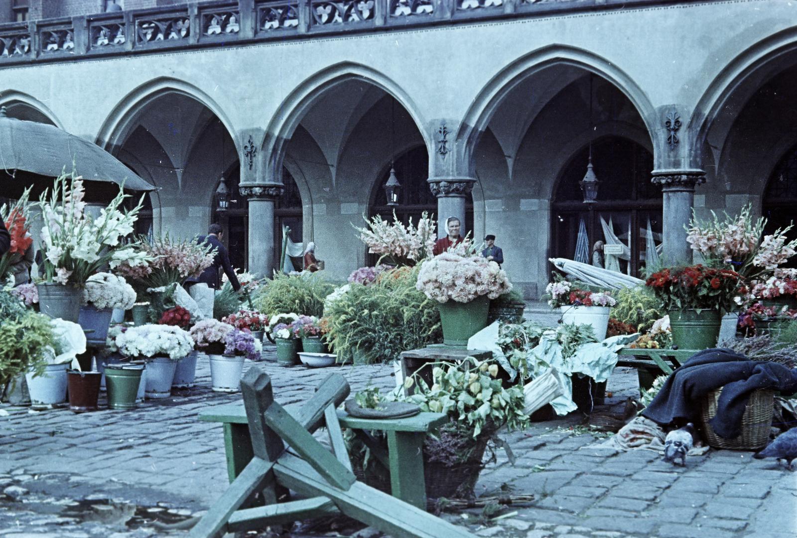 1954, Böhönyey Ágnes, Fortepan #309282