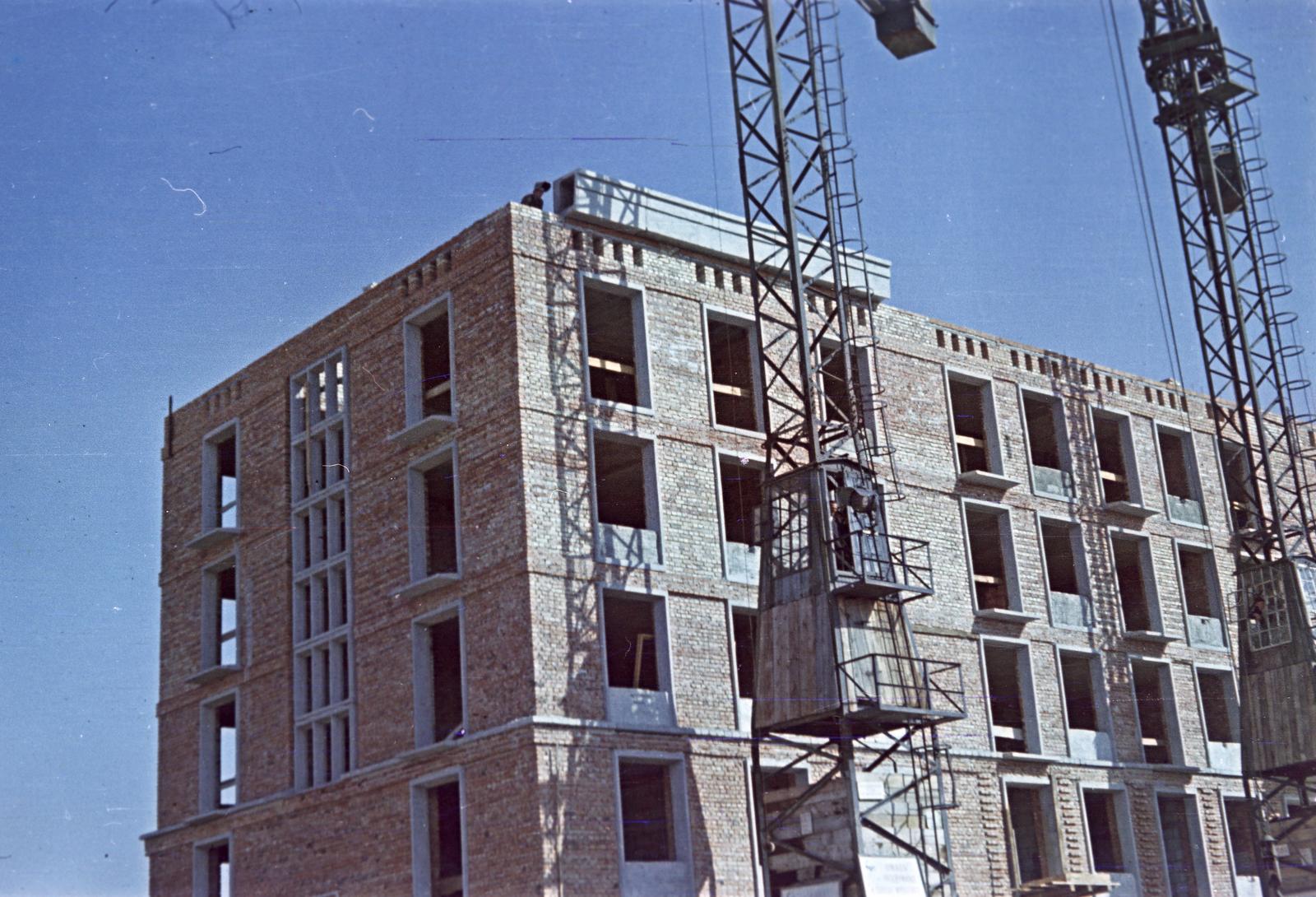 1954, Böhönyey Ágnes, Fortepan #309288