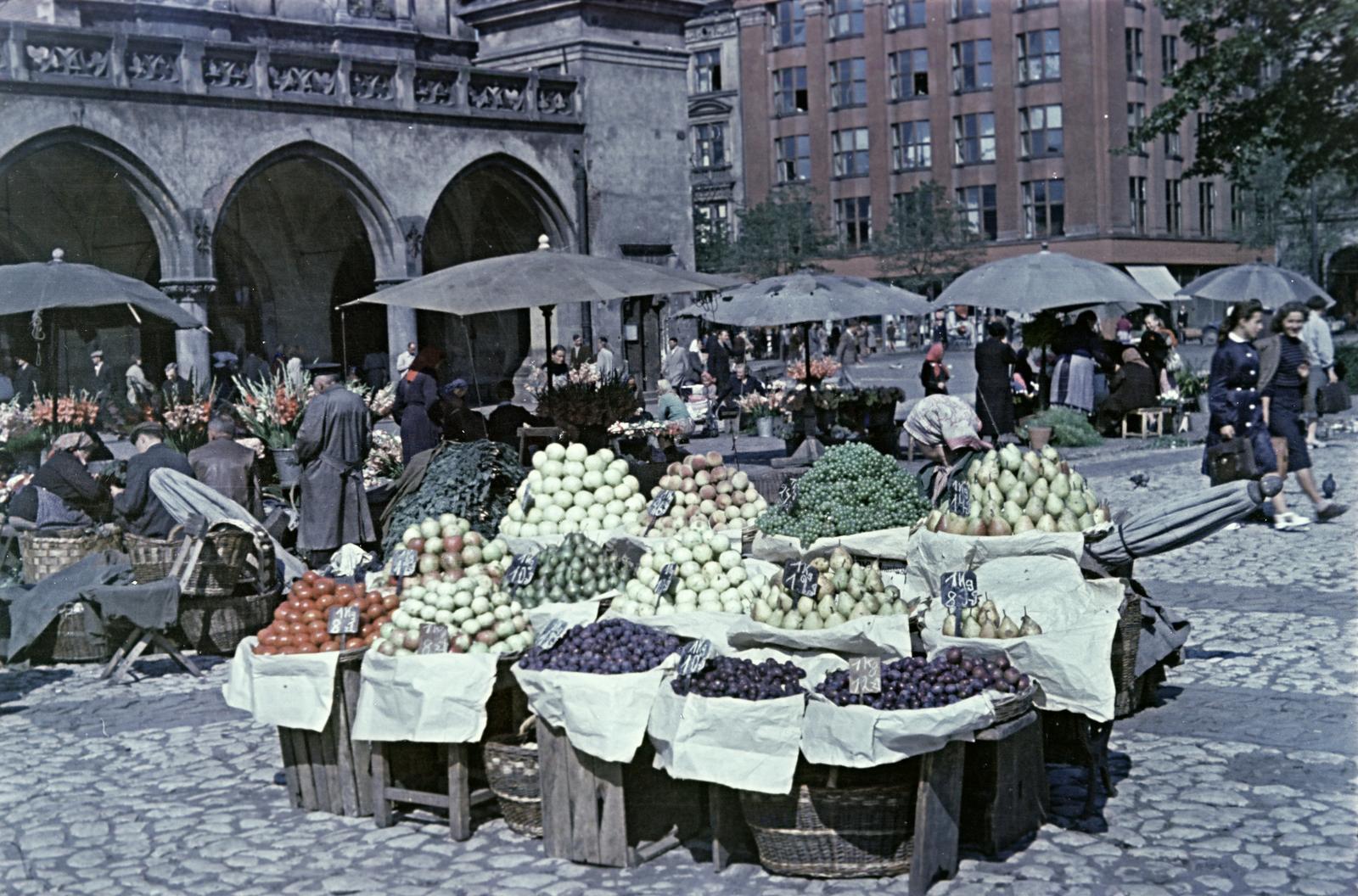 1954, Böhönyey Ágnes, Fortepan #309289