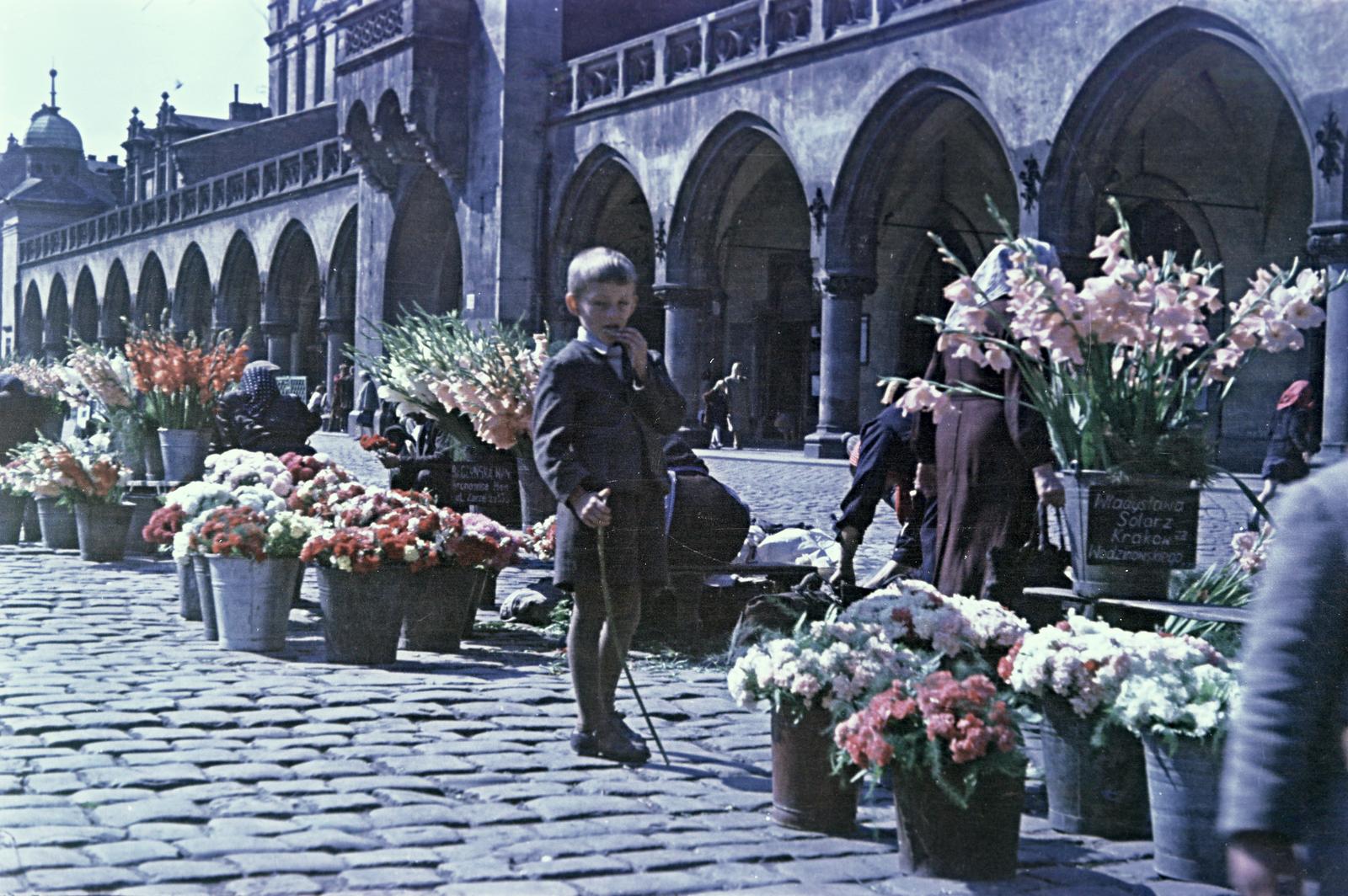 1954, Böhönyey Ágnes, Fortepan #309290