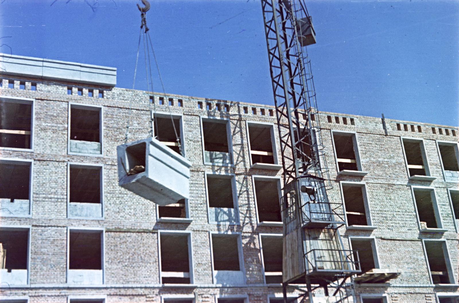 1954, Böhönyey Ágnes, Fortepan #309291