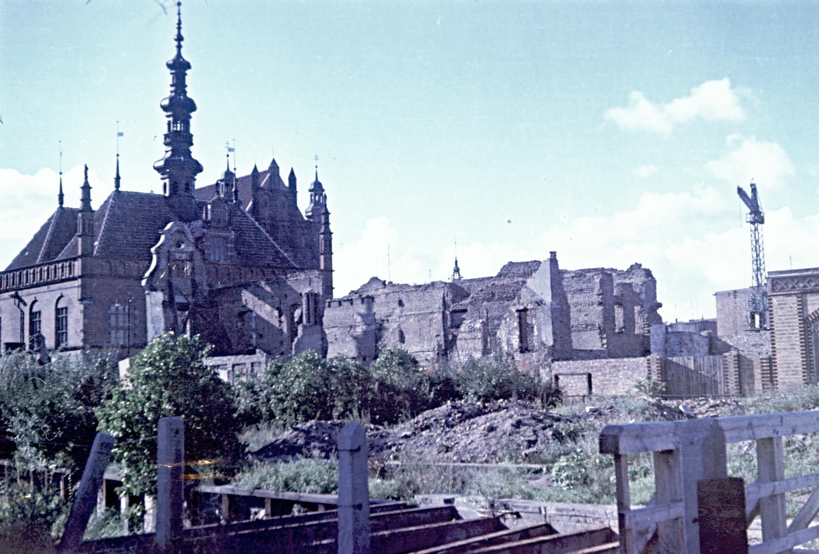 1954, Böhönyey Ágnes, Fortepan #309293