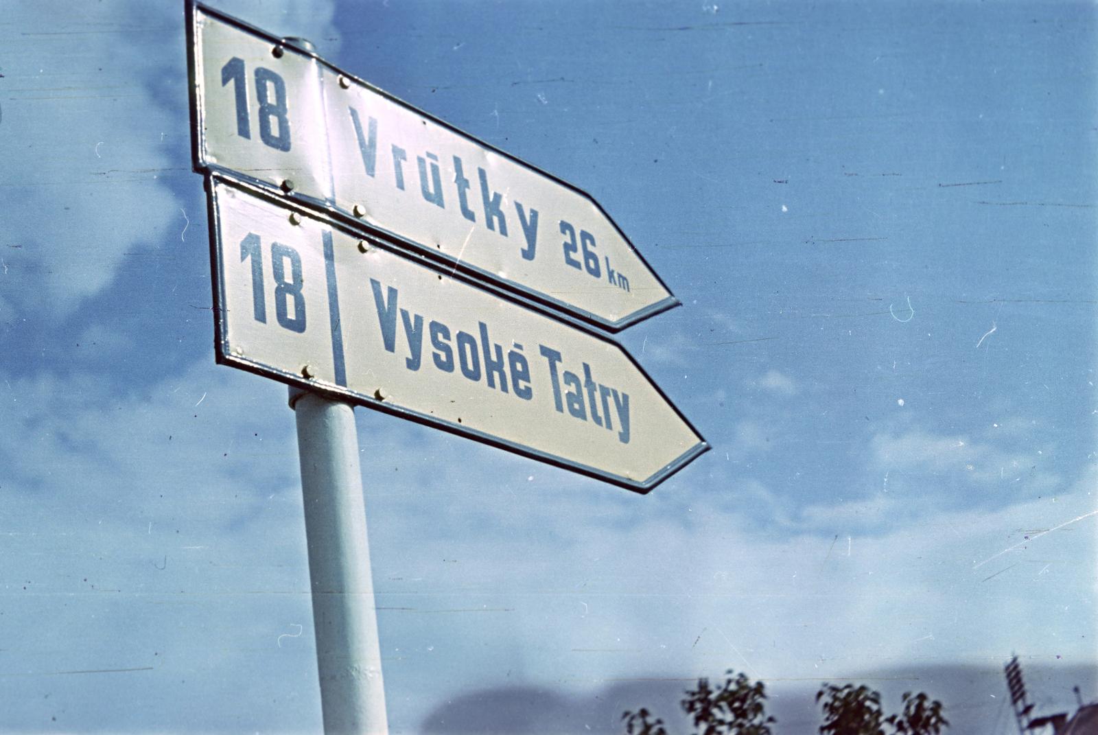 1954, Böhönyey Ágnes, Fortepan #309295