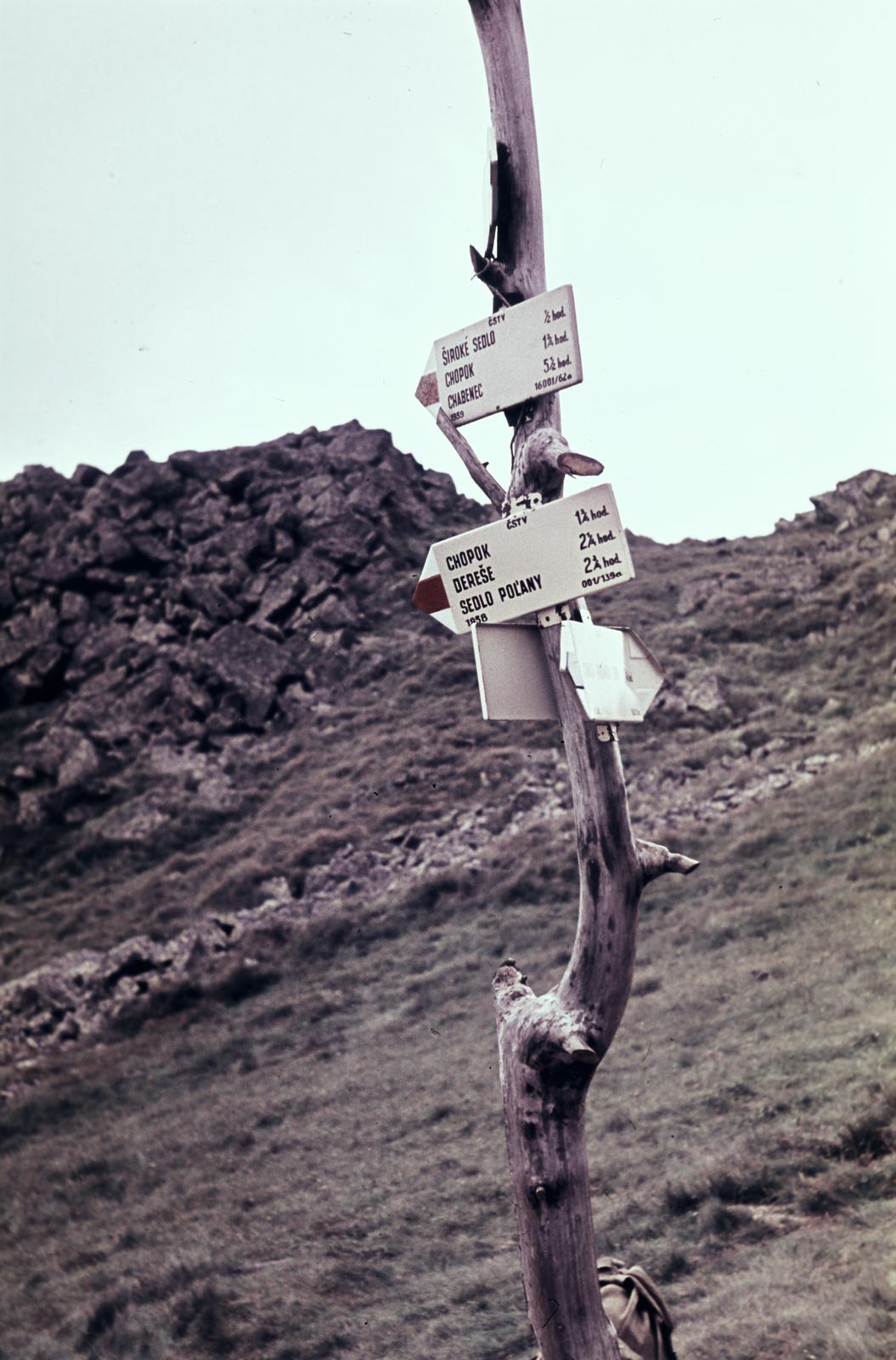 1954, Böhönyey Ágnes, Fortepan #309300