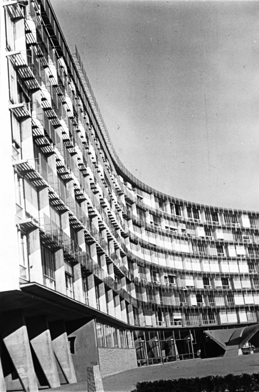 1960, Böhönyey Ágnes, Fortepan #309303