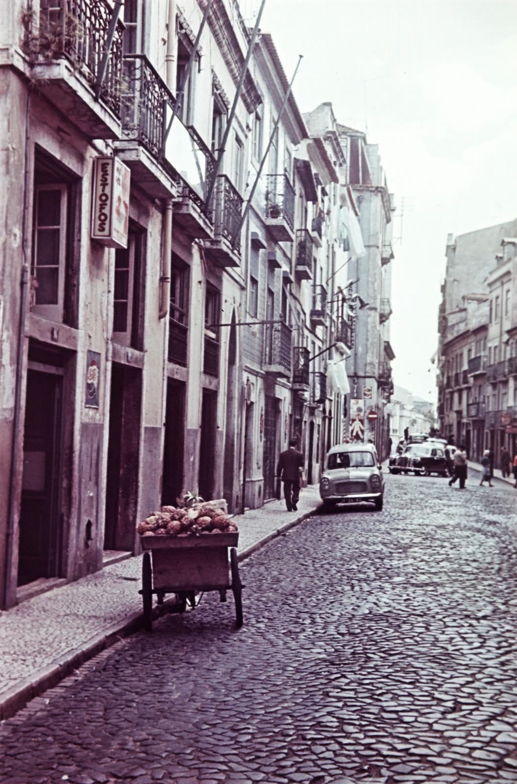 1960, Böhönyey Ágnes, Fortepan #309304