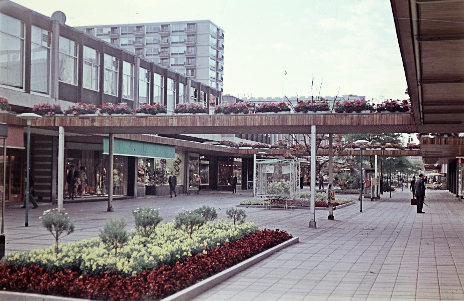 1966, Böhönyey Ágnes, Fortepan #309305