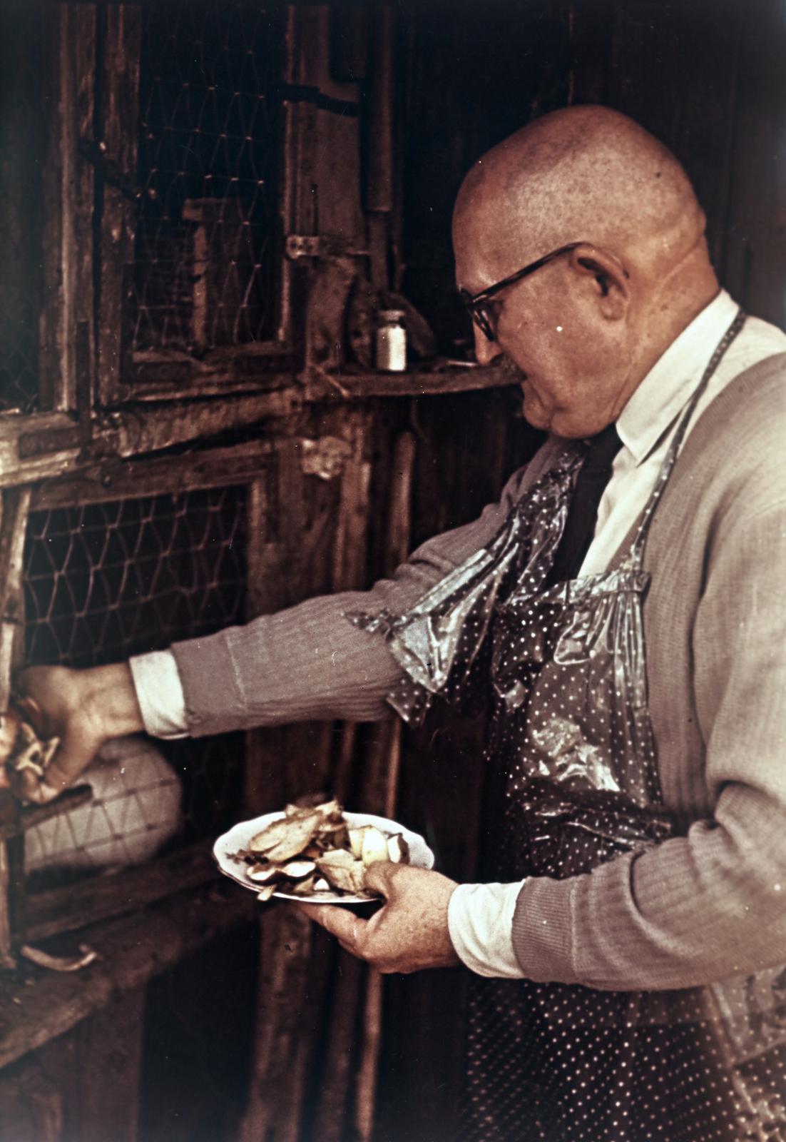 1958, Böhönyey Ágnes, Fortepan #309309