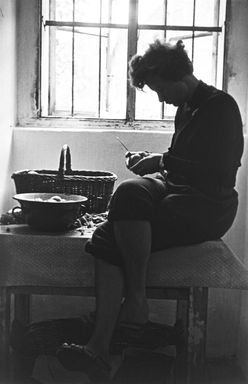 1955, Böhönyey Ágnes, Fortepan #309312