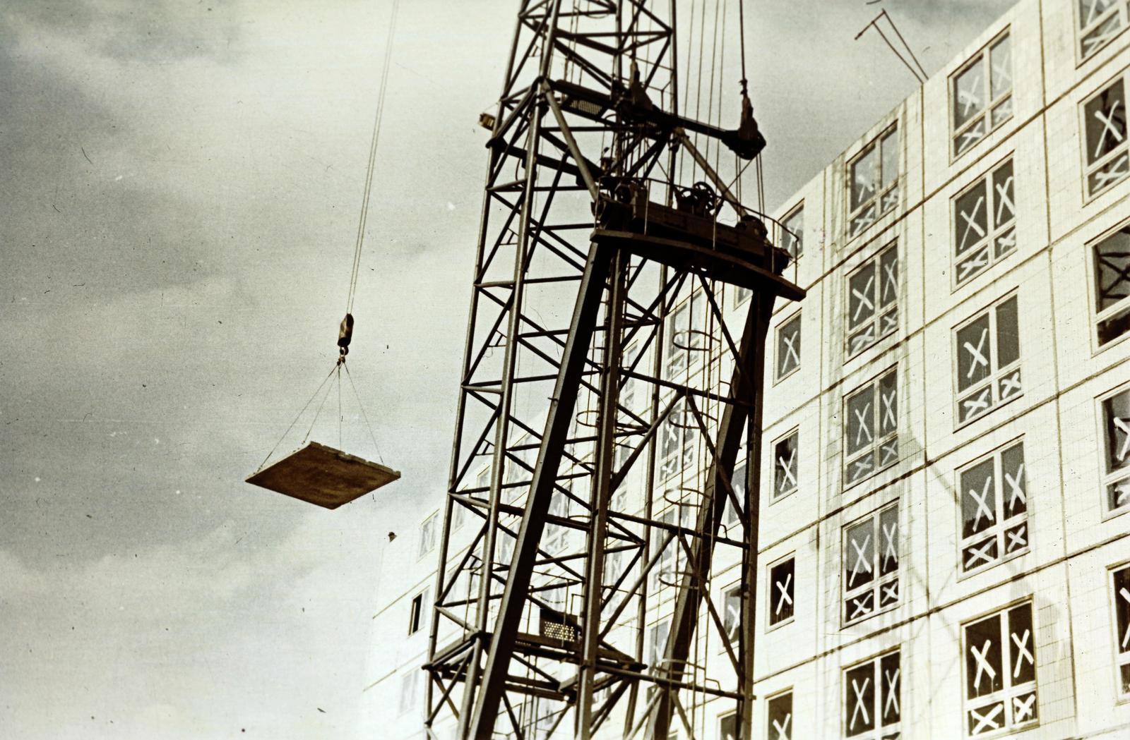 1961, Böhönyey Ágnes, Fortepan #309316