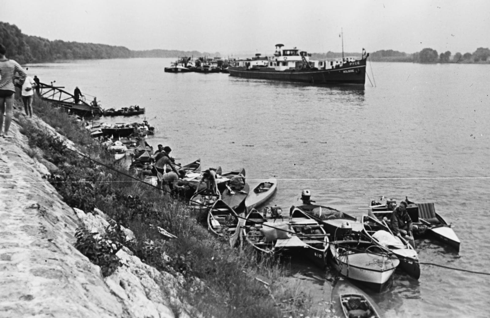 1955, Böhönyey Ágnes, Fortepan #309320