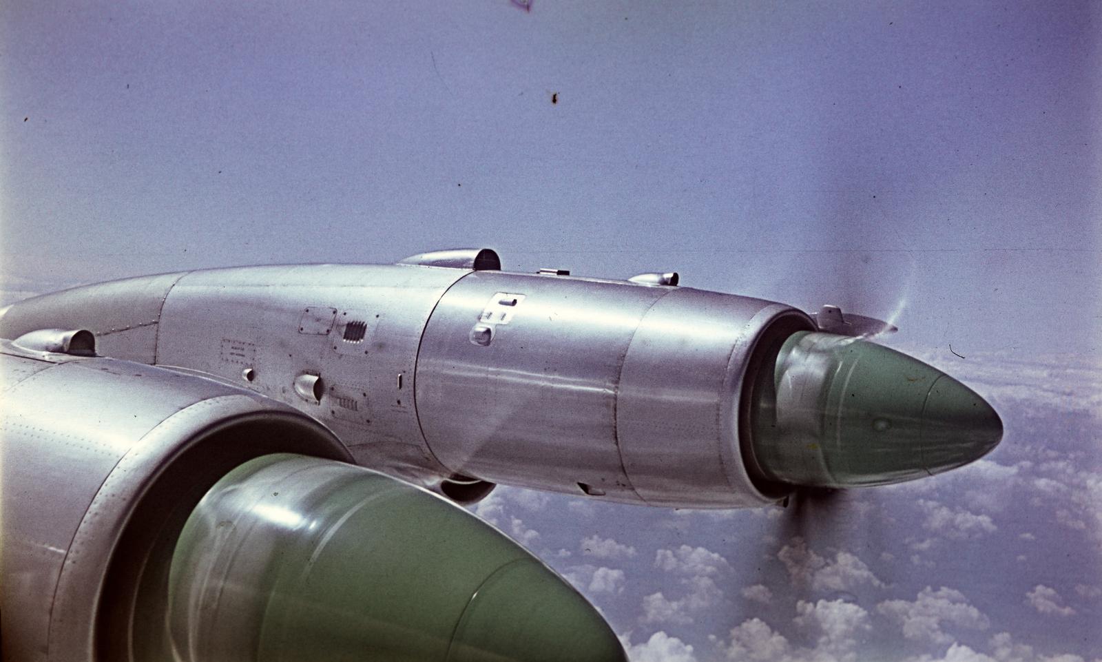 1964, Böhönyey Ágnes, Fortepan #309333