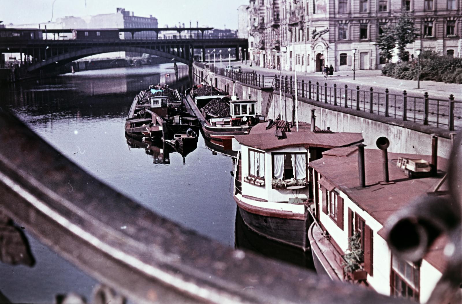 1964, Böhönyey Ágnes, Fortepan #309339