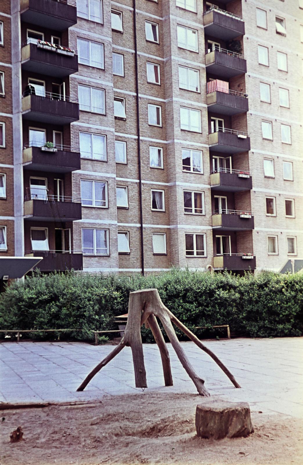 1963, Böhönyey Ágnes, Fortepan #309354