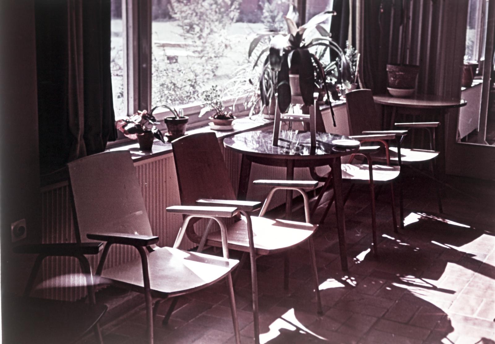 1957, Böhönyey Ágnes, Fortepan #309360