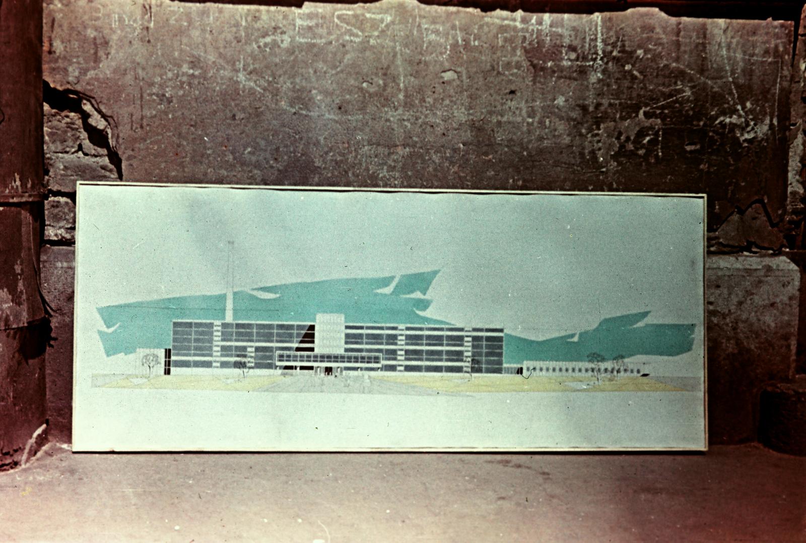 1957, Böhönyey Ágnes, Fortepan #309363