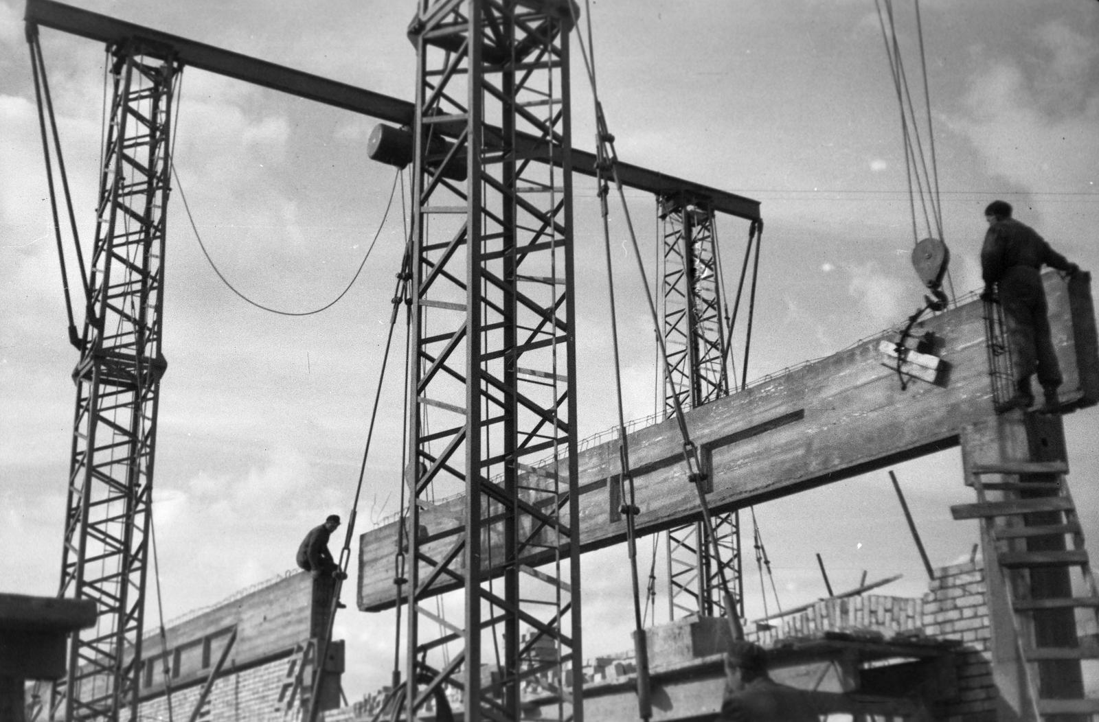 1954, Böhönyey Ágnes, Fortepan #309391