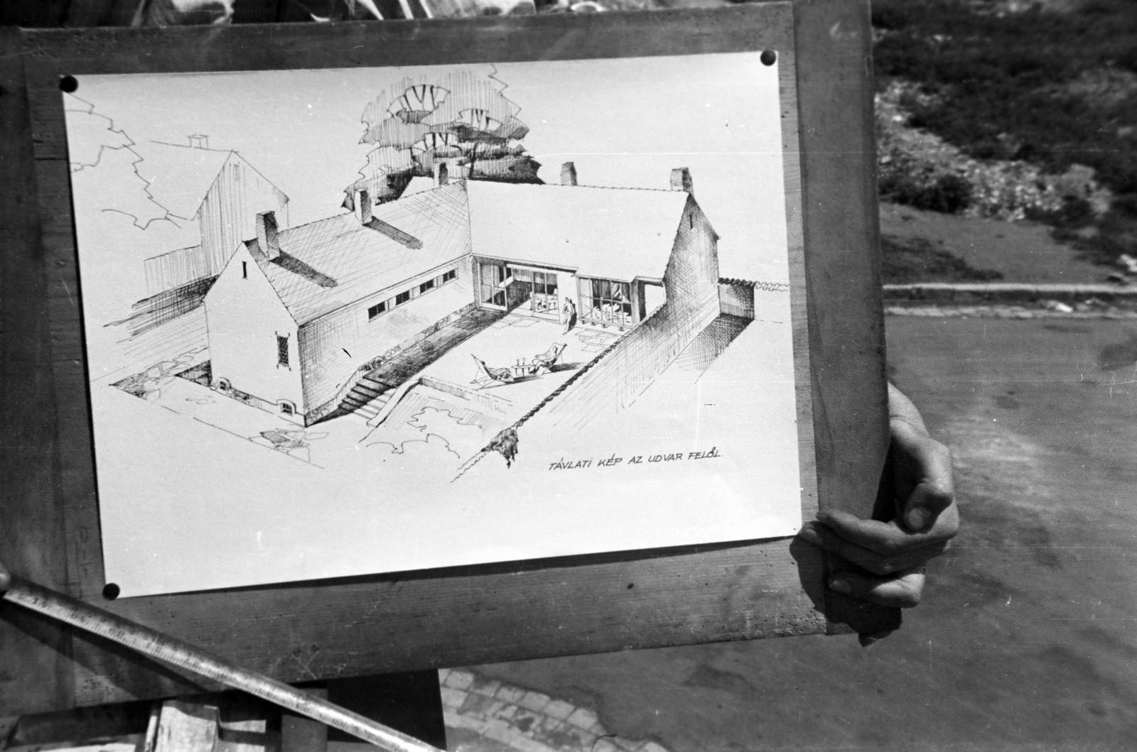 1948, Böhönyey Ágnes, Fortepan #309418