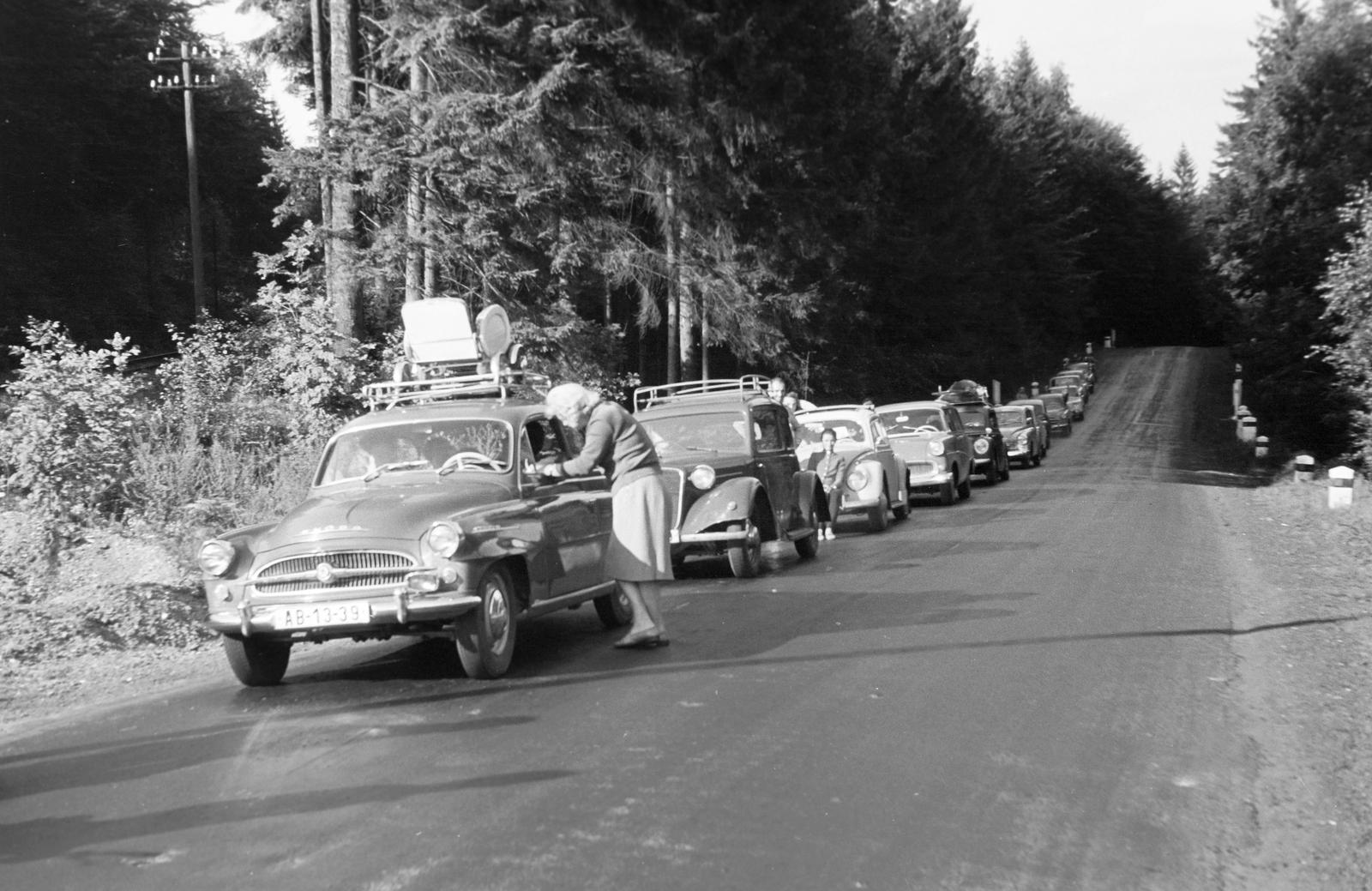 1965, Bordács Ferenc, Fortepan #309528