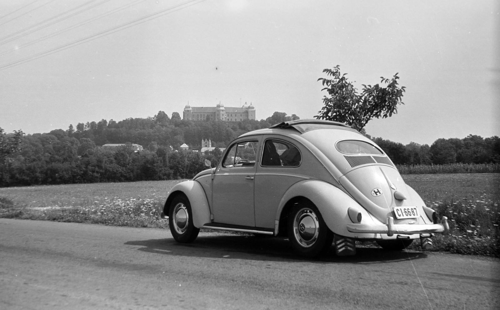 1965, Bordács Ferenc, Fortepan #309545