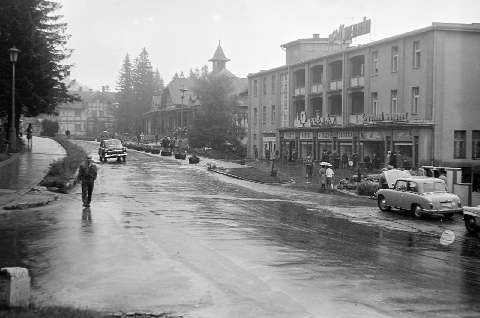 1965, Bordács Ferenc, Fortepan #309549