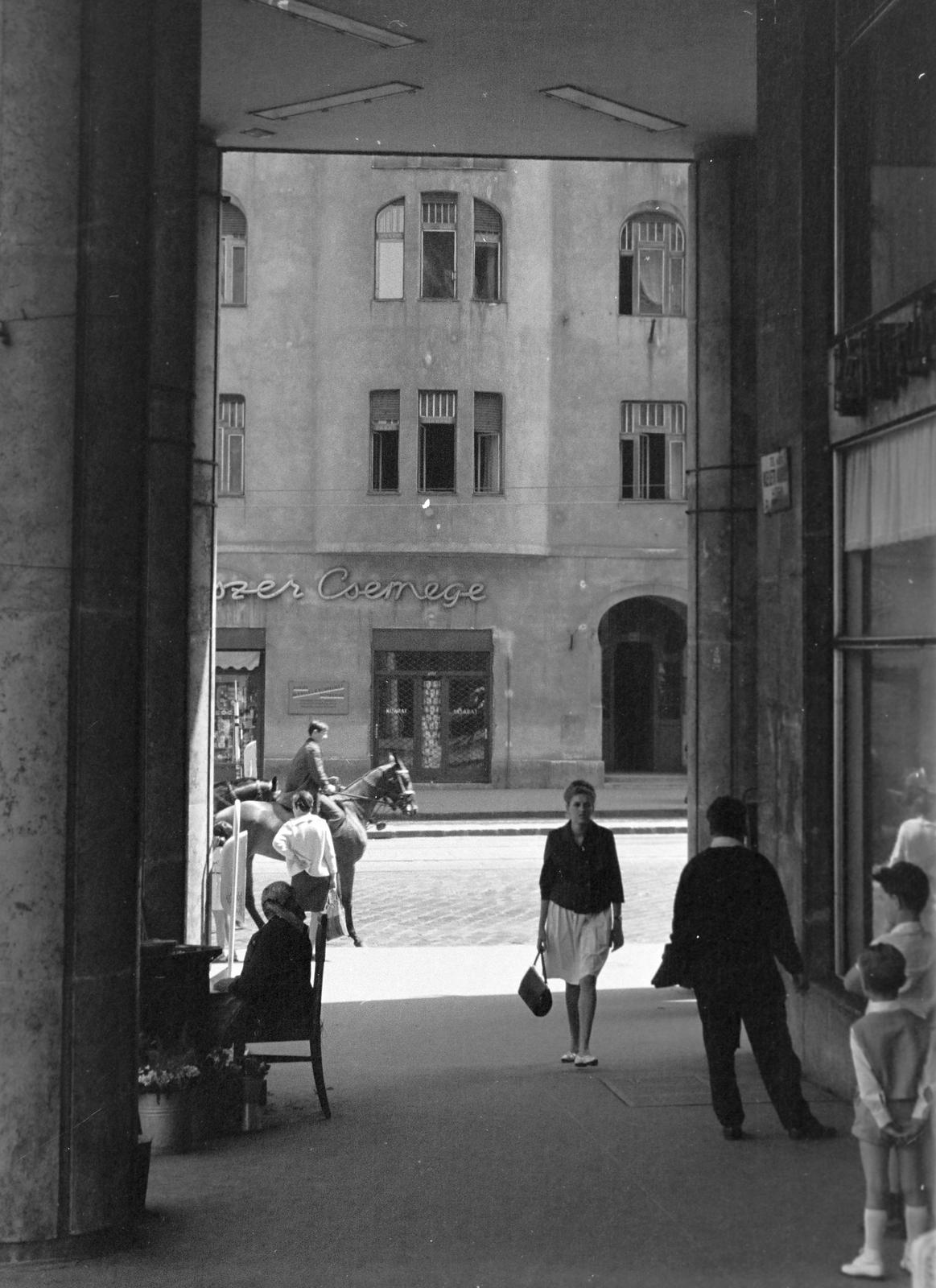 1976, Bordács Ferenc, Fortepan #309568