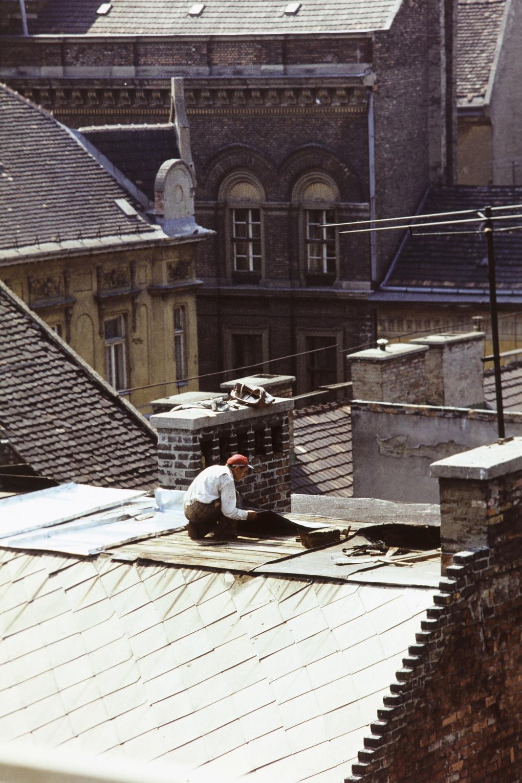 1973, Bordács Ferenc, Fortepan #309589