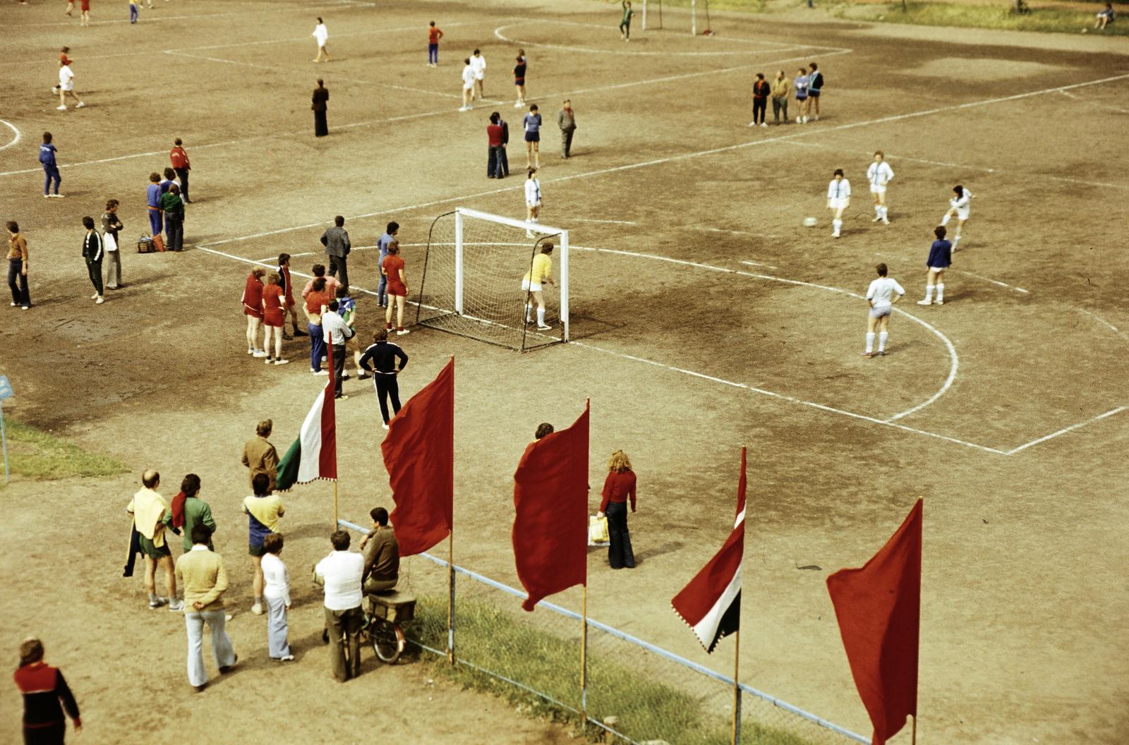 1974, Bordács Ferenc, Fortepan #309598