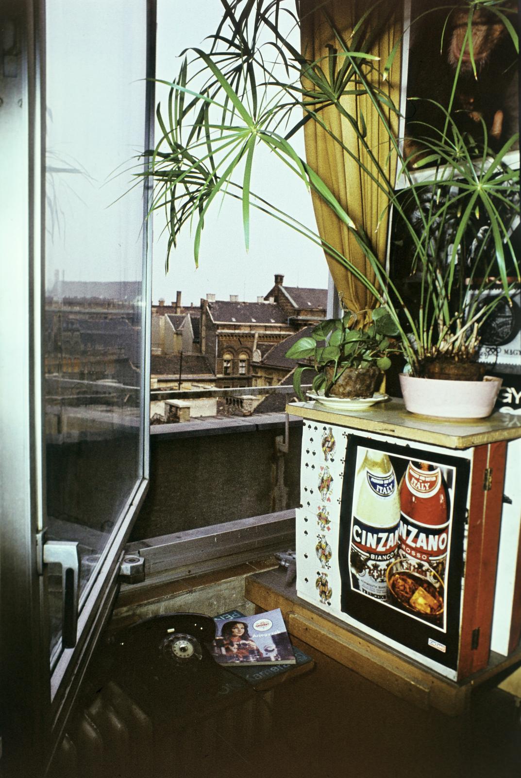 1978, Bordács Ferenc, Fortepan #309601