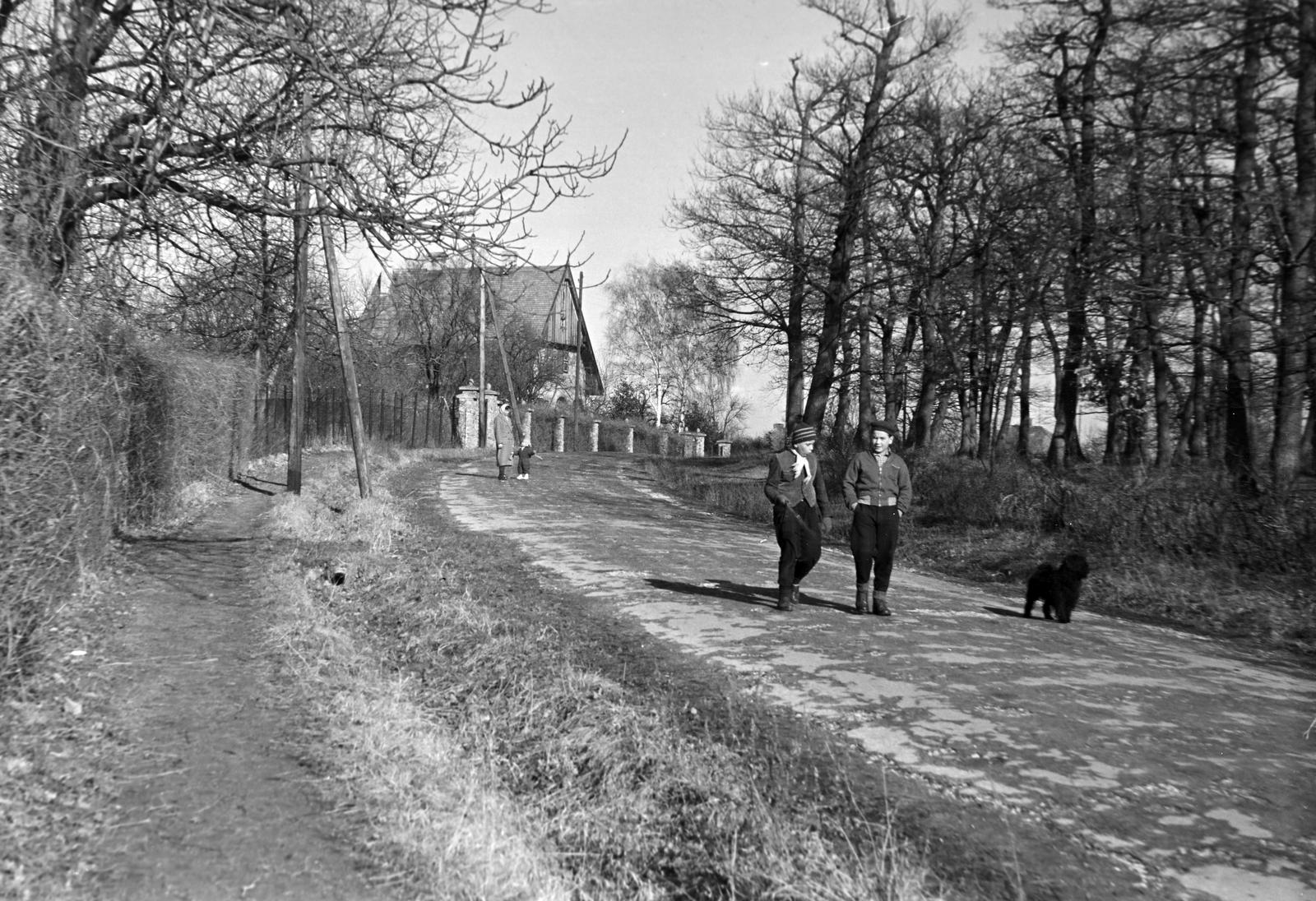 1963, Bordács Ferenc, Fortepan #309626