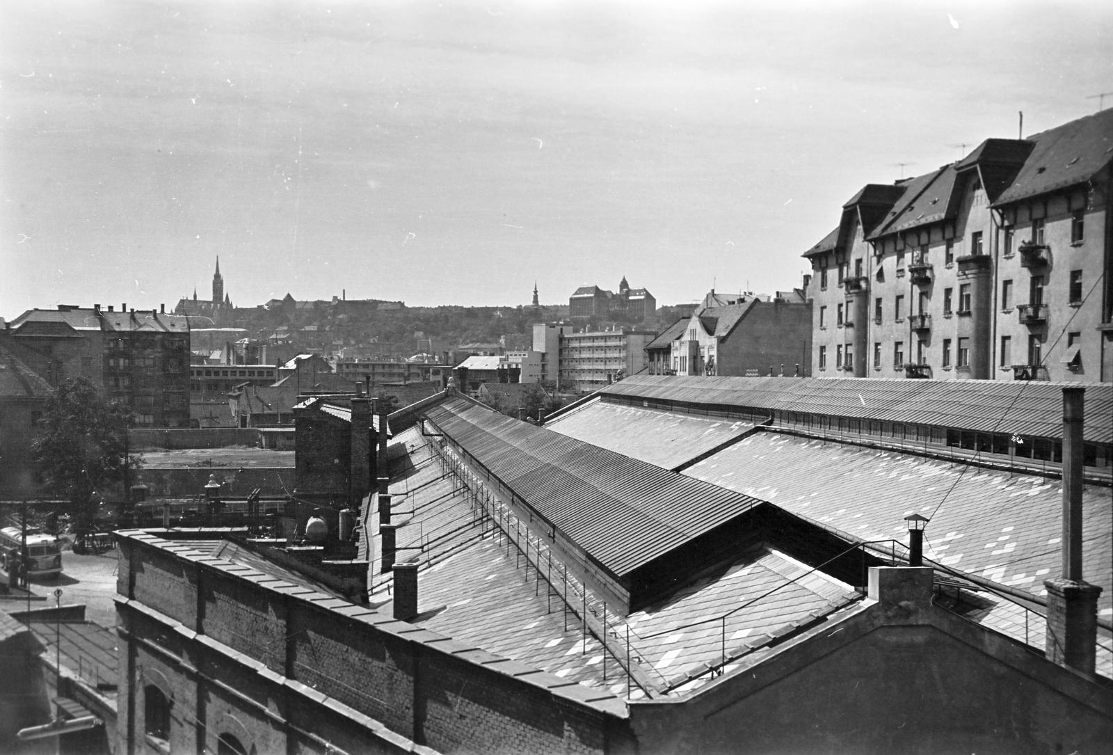 1962, Bordács Ferenc, Fortepan #309635