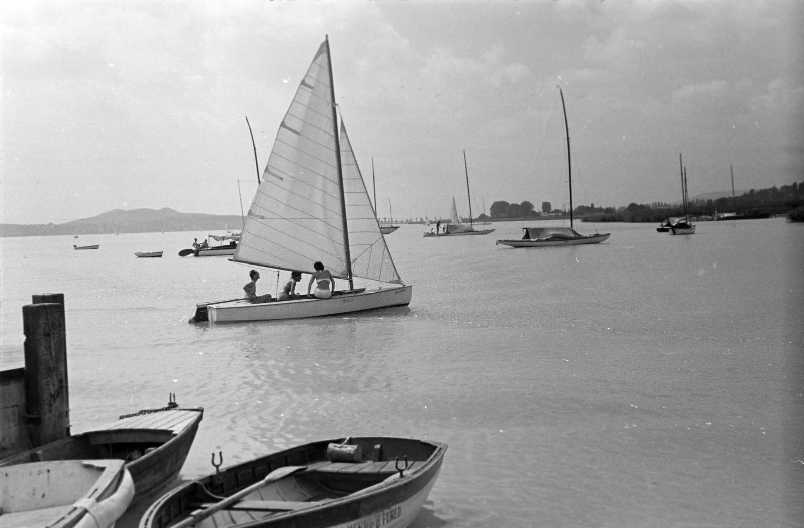 1962, Bordács Ferenc, Fortepan #309654