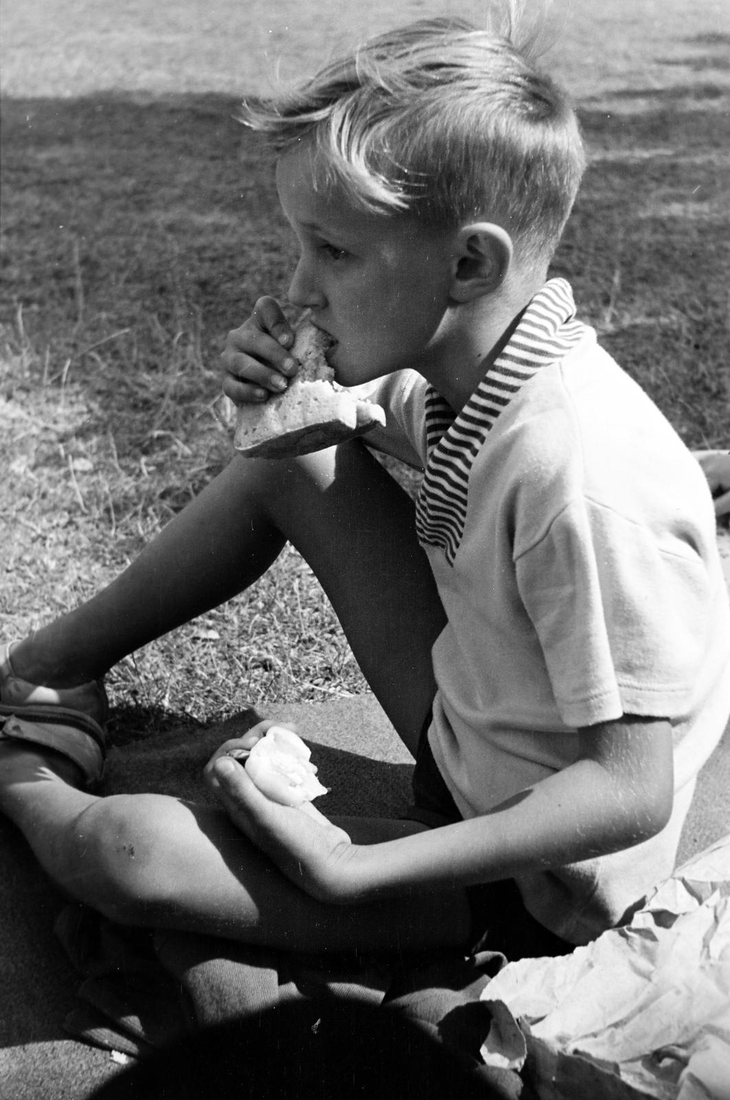 1960, Bordács Ferenc, Fortepan #309671